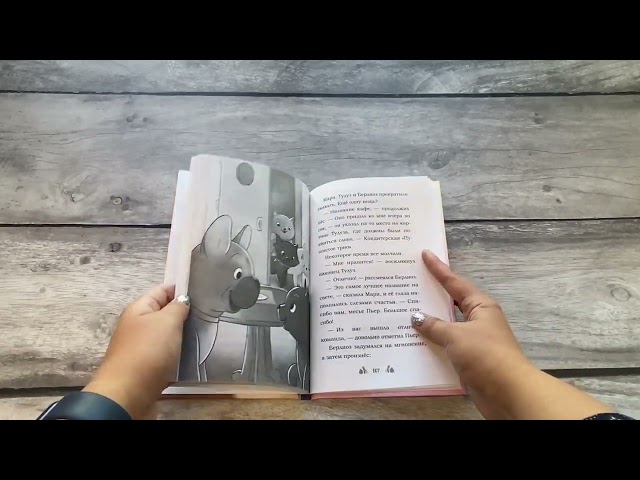 Книга Мур-ключение в Париже! (Дженнифер Касл) — 3