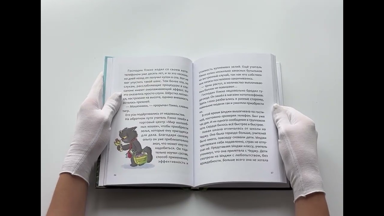 Книга Кот, который прожил 100 раз, учитель Пэкко. Том 2: Пузырек забвения (Чон Ёнчхоль) — 3