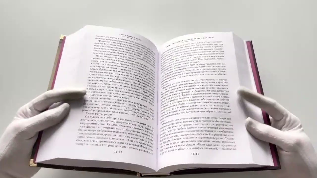 Книга Лисы в винограднике (Лион Фейхтвангер) — 3