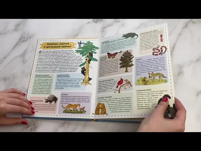 Книга Животные. Интерактивный детский атлас с откидными разворотами (Томаш Тума) — 3