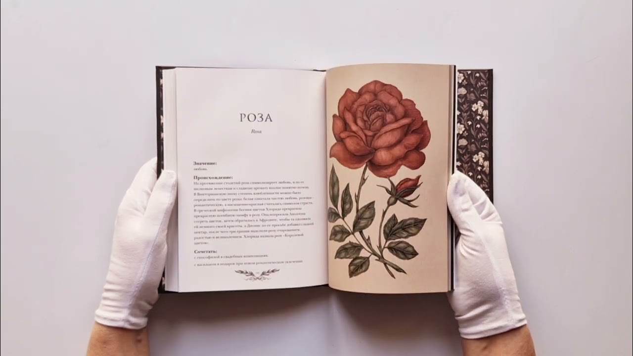 Книга Флориография. Иллюстрированное руководство по викторианскому языку цветов (Джессика Ру) — 3