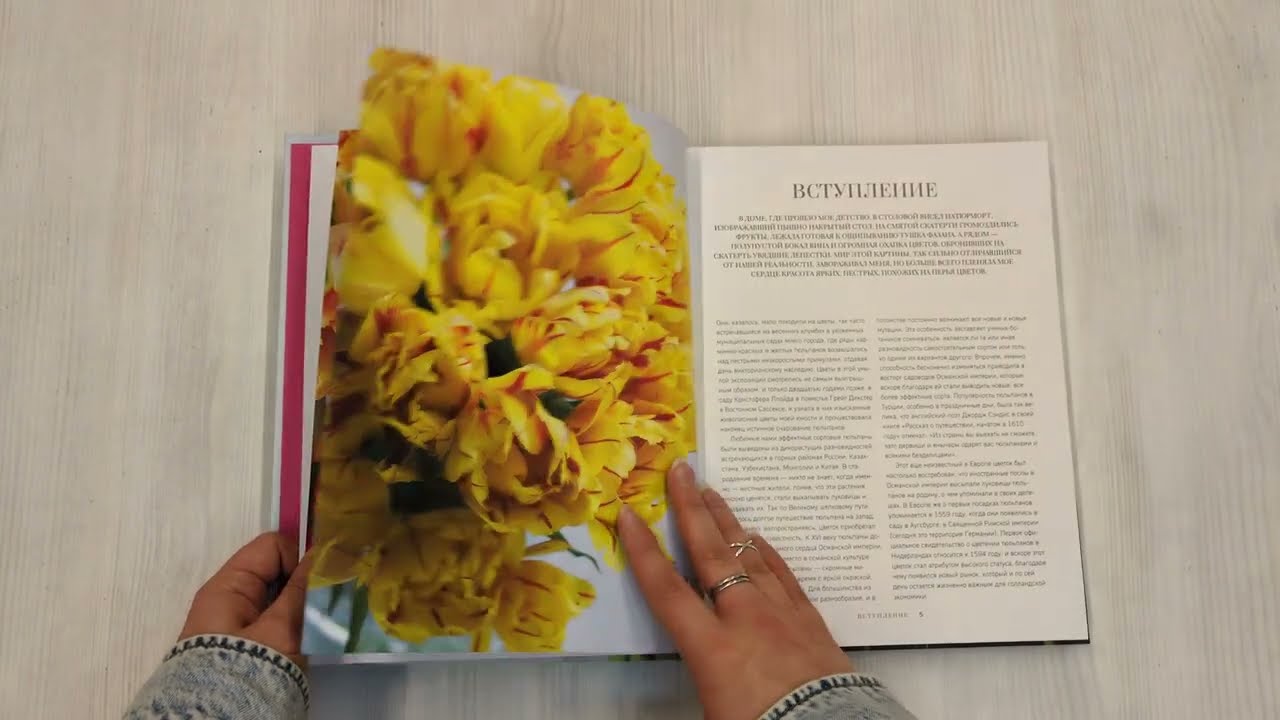 Книга Тюльпаны. Великолепные цветы для дома и сада (Джейн Исто) — 4