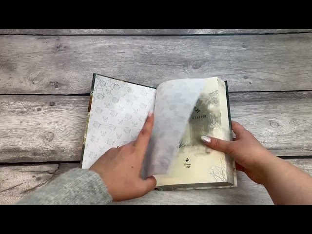 Книга Дана Мэллори и дом оживших теней (новое оформление) (Клаудия Ромес) — 3