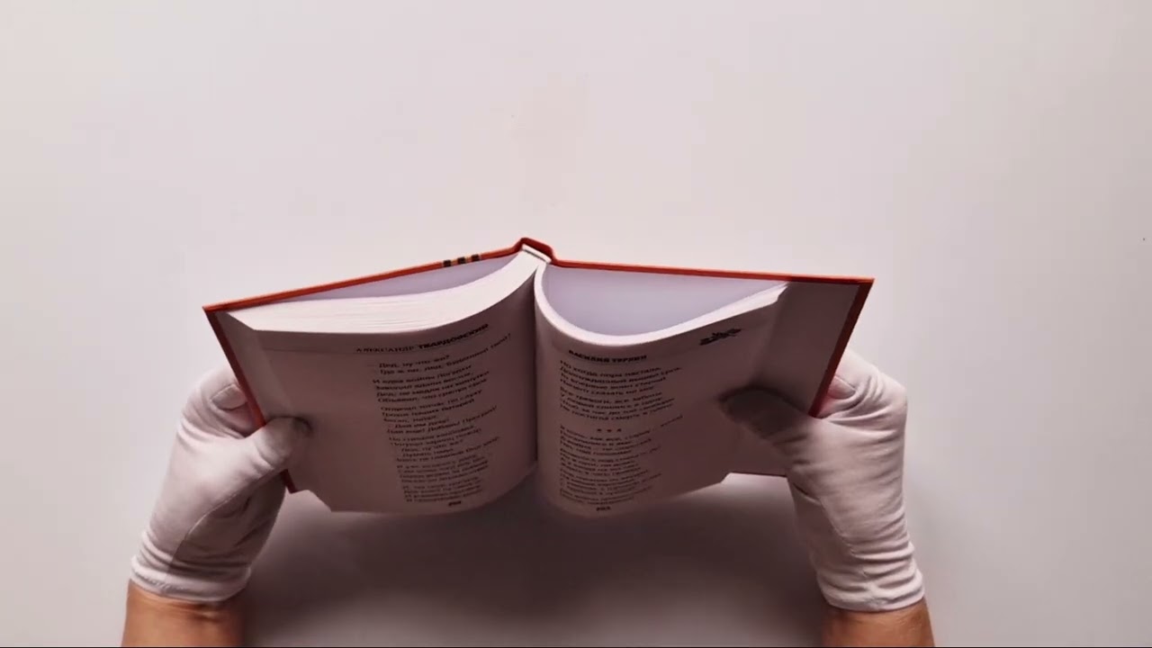 Книга Василий Теркин (Александр Твардовский) — 4
