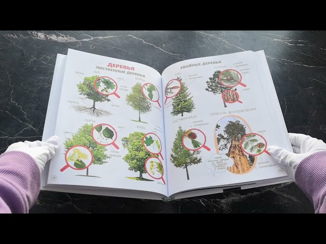 Книга Главная книга малыша. Фотоэнциклопедия () — 3