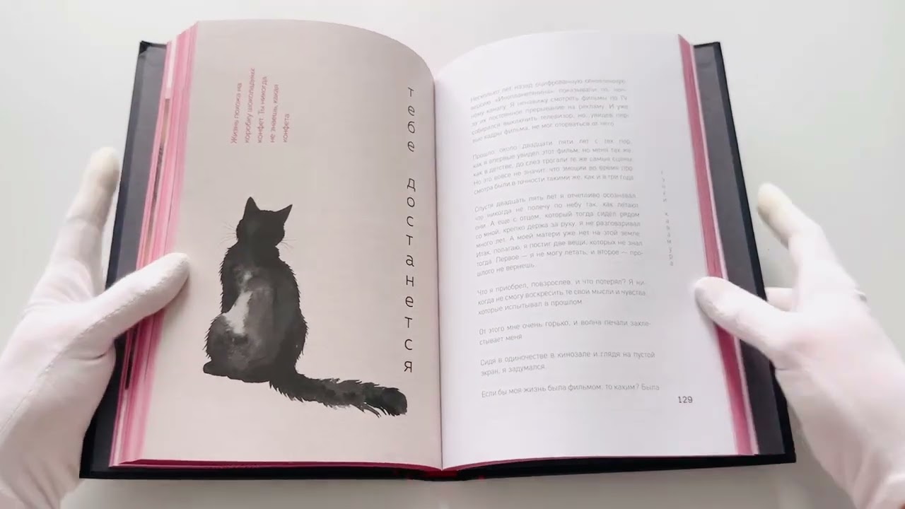 Книга Если все кошки в мире исчезнут. Эксклюзивное издание с цветными иллюстрациями (имитация шнуровки, печать по обрезу) (Гэнки Кавамура) — 4