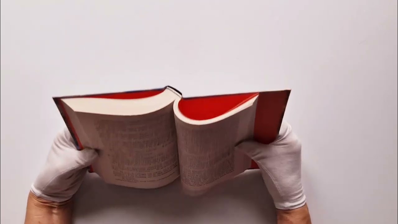 Книга Слепая зона (Ольга Вечная) — 3
