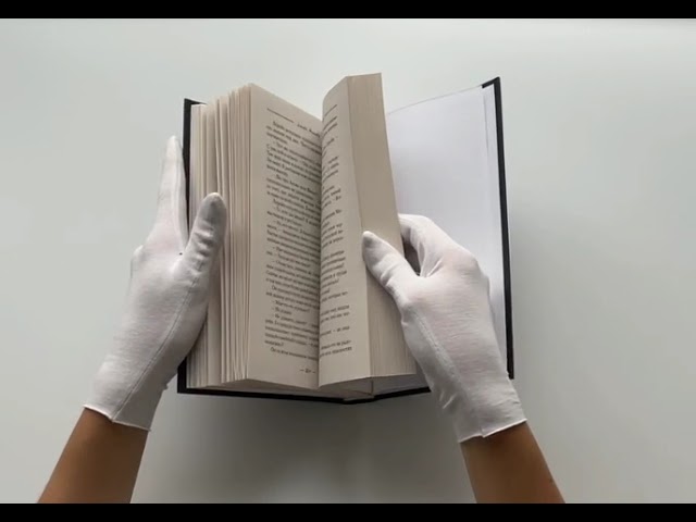 Книга Требуется приспешник (Лилия Альшер) — 3