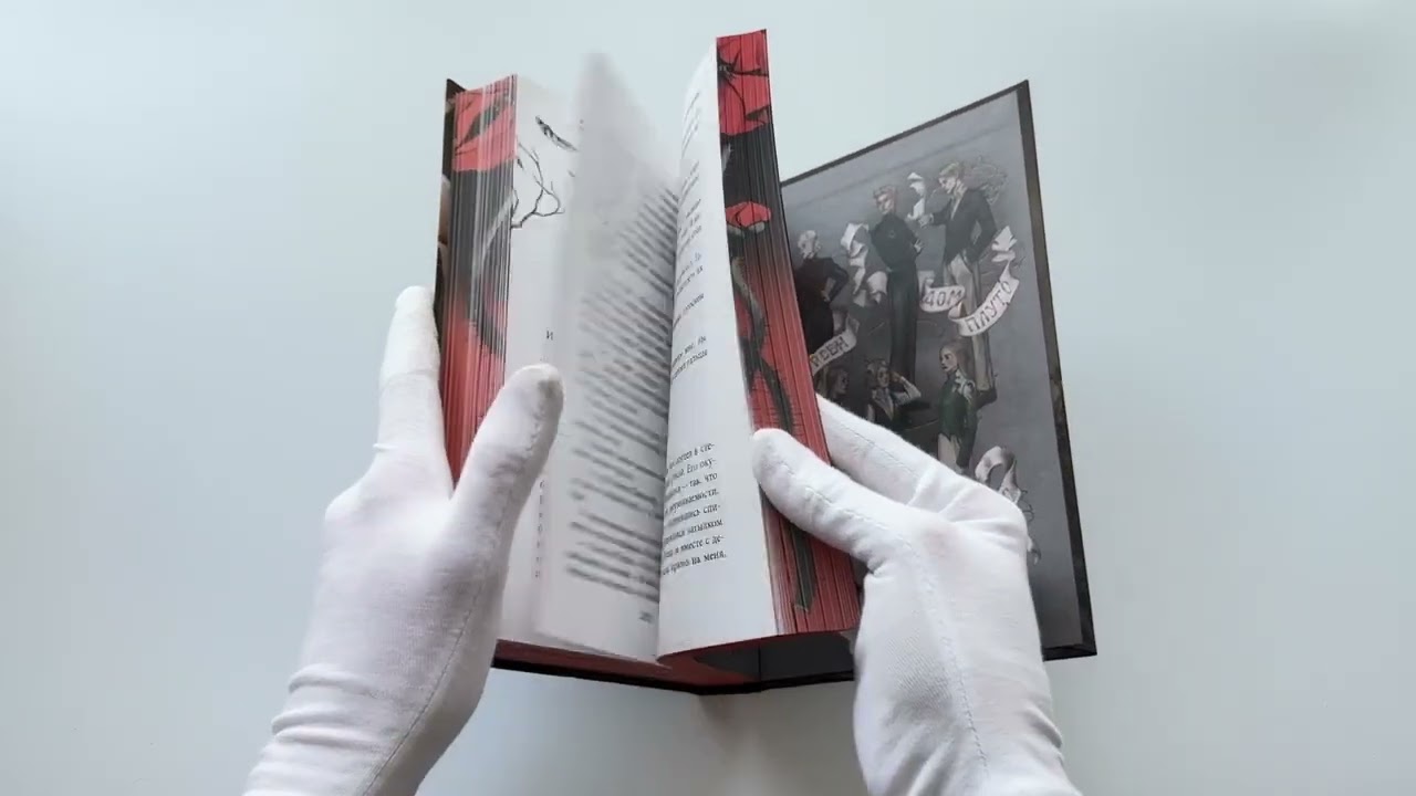 Книга Песнь Сорокопута. Да здравствует принц! (коллекционное издание) (Фрэнсис Кель) — 3
