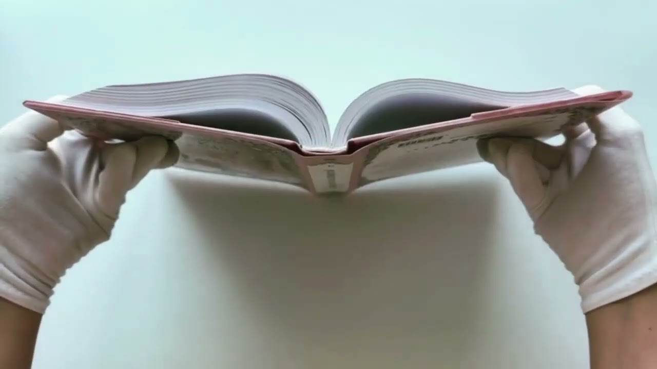 Книга Однажды я стала принцессой. Книга 3 (Кто сделал меня принцессой / Who Made Me a Princess). Новелла (Плутос) — 4
