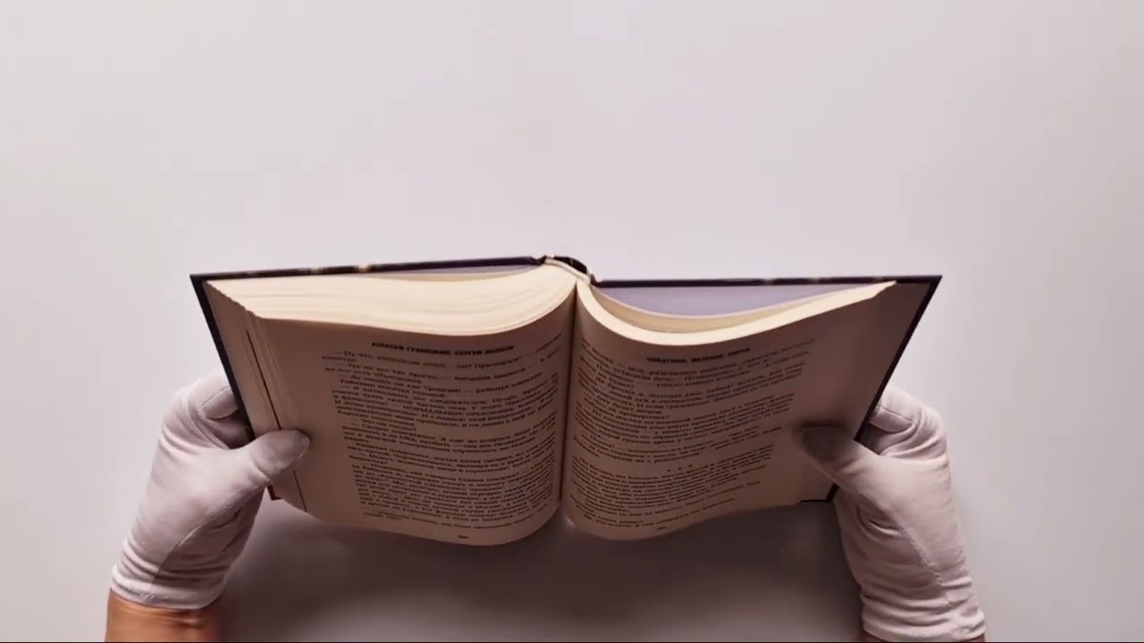 Книга Чикатило. Явление зверя (Сергей Волков, Алексей Гравицкий) — 3