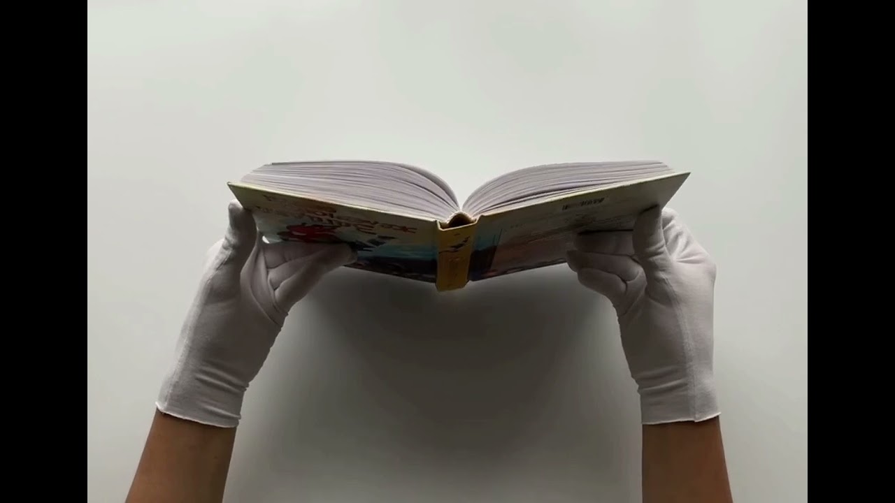Книга Загадка железного веера (Джесси К. Сутанто) — 4