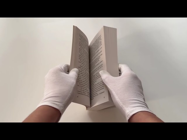 Книга Милый друг (Ги де Мопассан) — 3