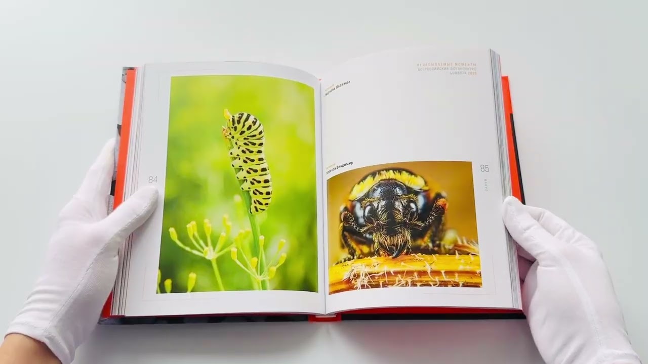 Книга Незабываемые моменты. Всероссийский фотоконкурс Бомбора 2025 () — 4