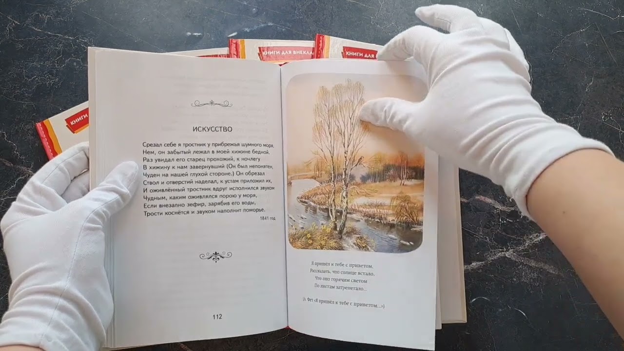 Книга "Я пришёл к тебе с приветом...". Стихи русских поэтов (ил. В. Канивца) (Афанасий Фет, Федор Тютчев, Александр Пушкин) — 3