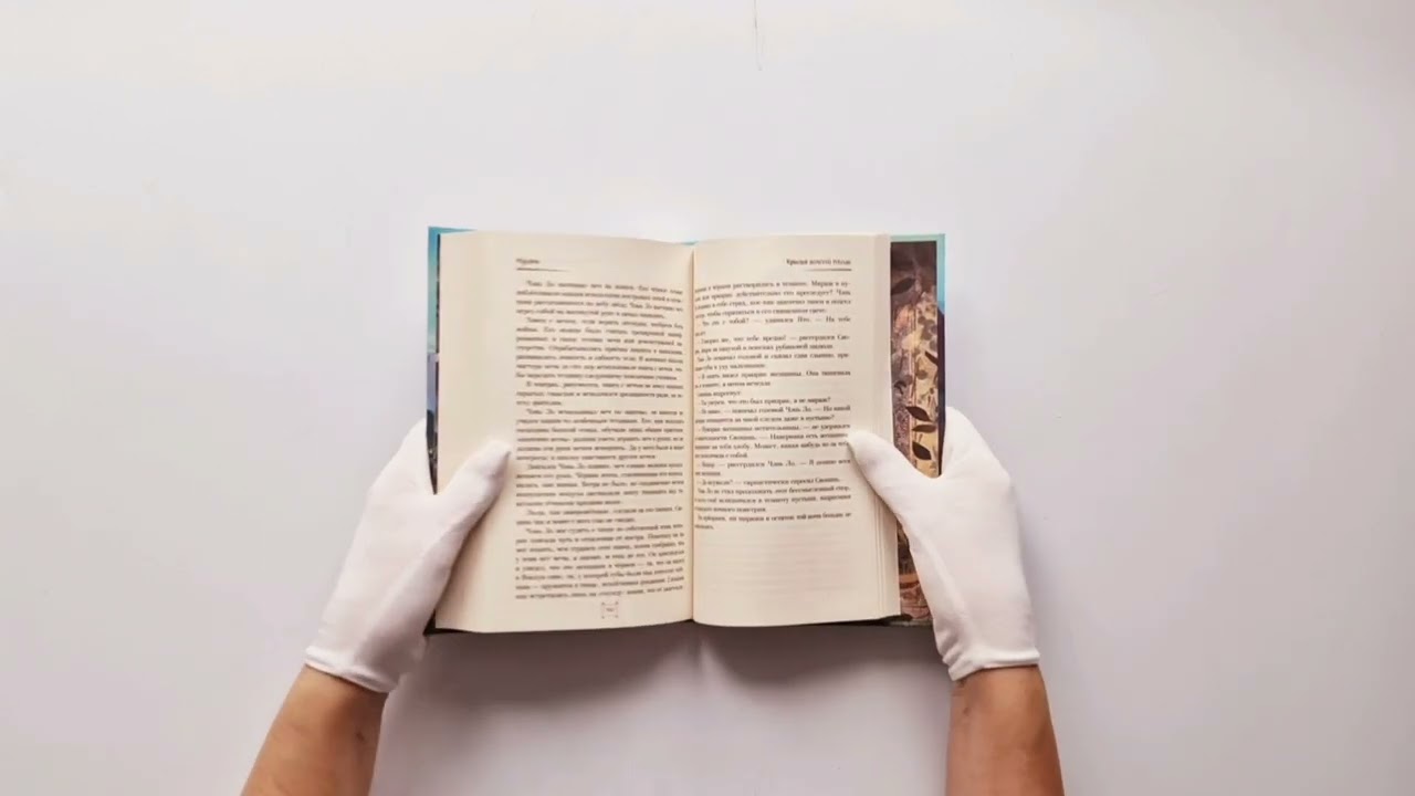 Книга Крылья золотой птицы. Муцянь (Джин Соул) — 3