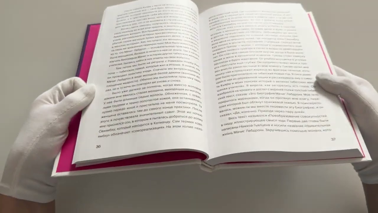Книга Накорми своих демонов. Практика для разрешения внутренних конфликтов (Цултрим Аллионе) — 4