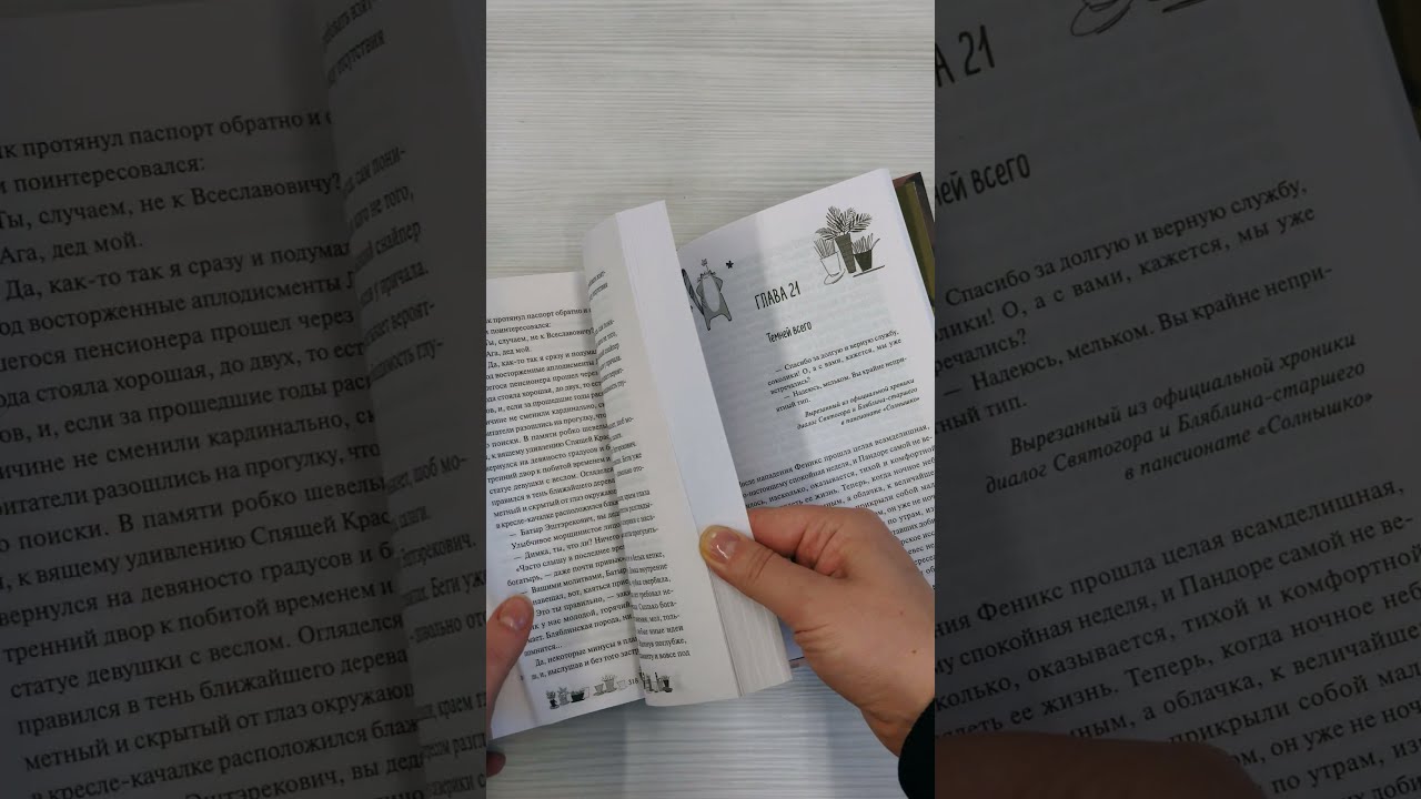 Книга Одаренная девочка и так себе каникулы (Мальвина Гайворонская) — 4