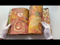 Секреты осеннего леса. Визуальная энциклопедия — 3107071 — 3