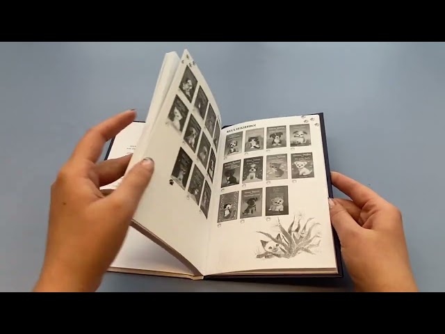 Книга Котенок Звездочка,или Двойной сюрприз (Холли Вебб) — 3