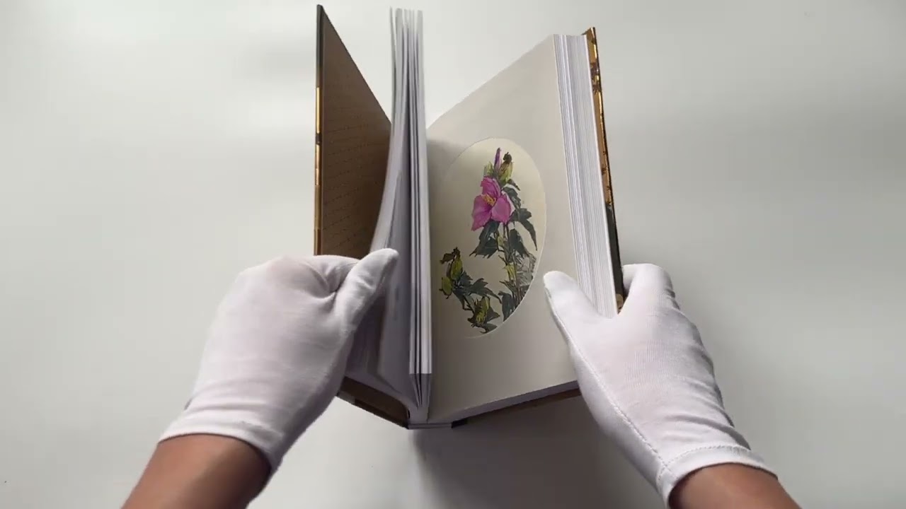 Книга Мир в капле дождя. Осень. Зима. Хайку на все времена () — 3