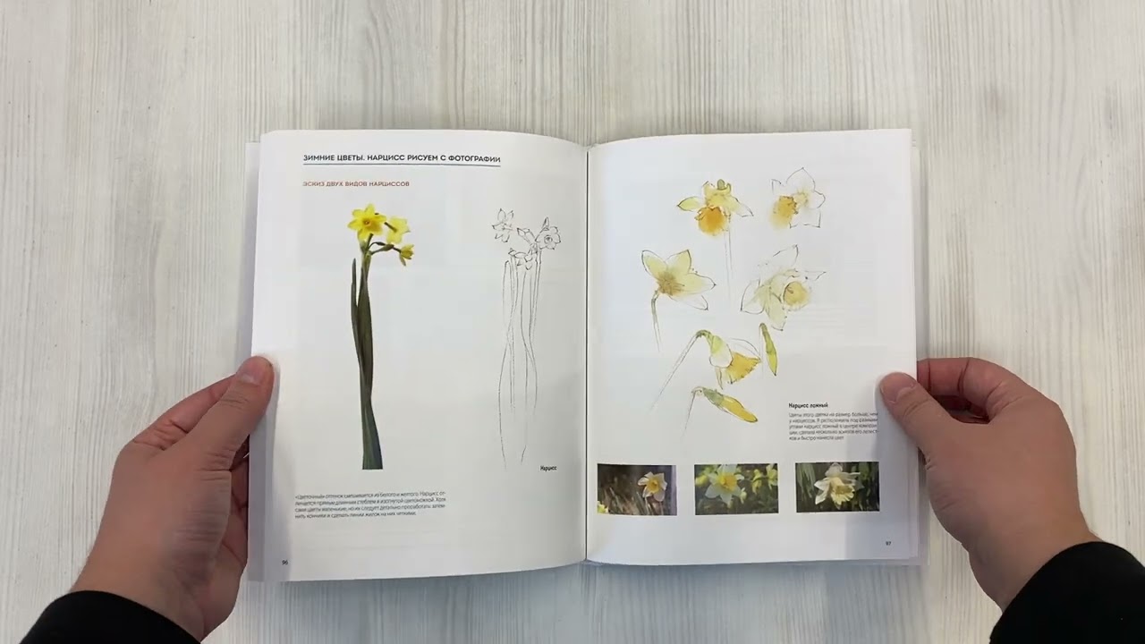 Книга Цветы японской акварелью. Рисуем розы, тюльпаны, гортензии и сухоцветы (Ай Накамура) — 3