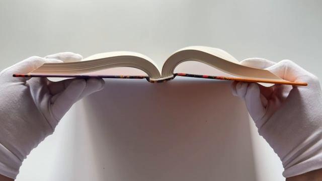 Книга Убийства в одном особняке (Стейси Хакни) — 3