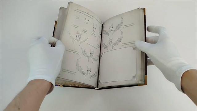 Книга Миссия: спасти призрачного художника (Томас Гуссунг) — 3