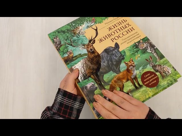 Книга Жизнь животных России. Познавательная иллюстрированная энциклопедия (Михаил Куценко) — 3