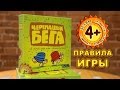 Настольная игра Черепашьи бега, Hobby World — 2339242 — 3
