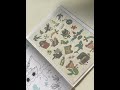 Книги для детей игра с заданиями и переводными тату "Бесстрашный пират" — 3028067 — 3