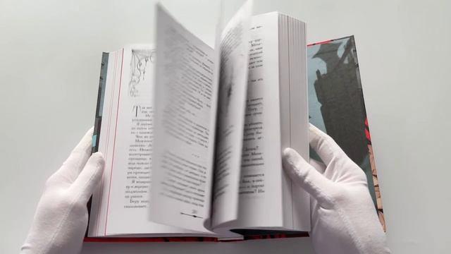 Книга Демонхаус (Софи Баунт) — 4
