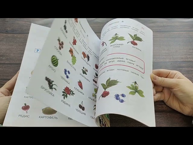 Книга Изучаю мир вокруг: для детей 5-6 лет. Ч. 1 (Валентина Егупова) — 3
