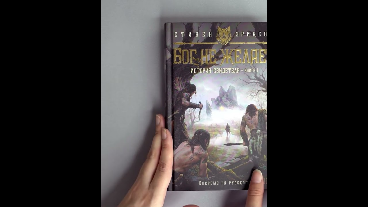 Книга История свидетеля. Книга 1. Бог не желает (Стивен Эриксон) — 3