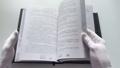 Ветер Полыни. Коллекционное издание — 3135231 — 3