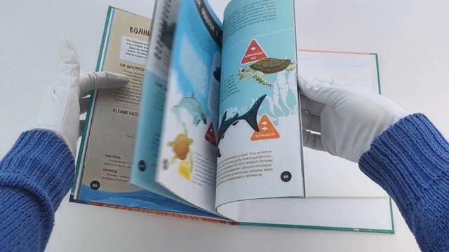 Книга Что? Как? Почему? Мои первые знания про МОРЯ И ОКЕАНЫ (с постером) () — 3