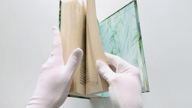 Книга Принцесса и Светлячок (Рико Сакураи, Тоя Мадока) — 3