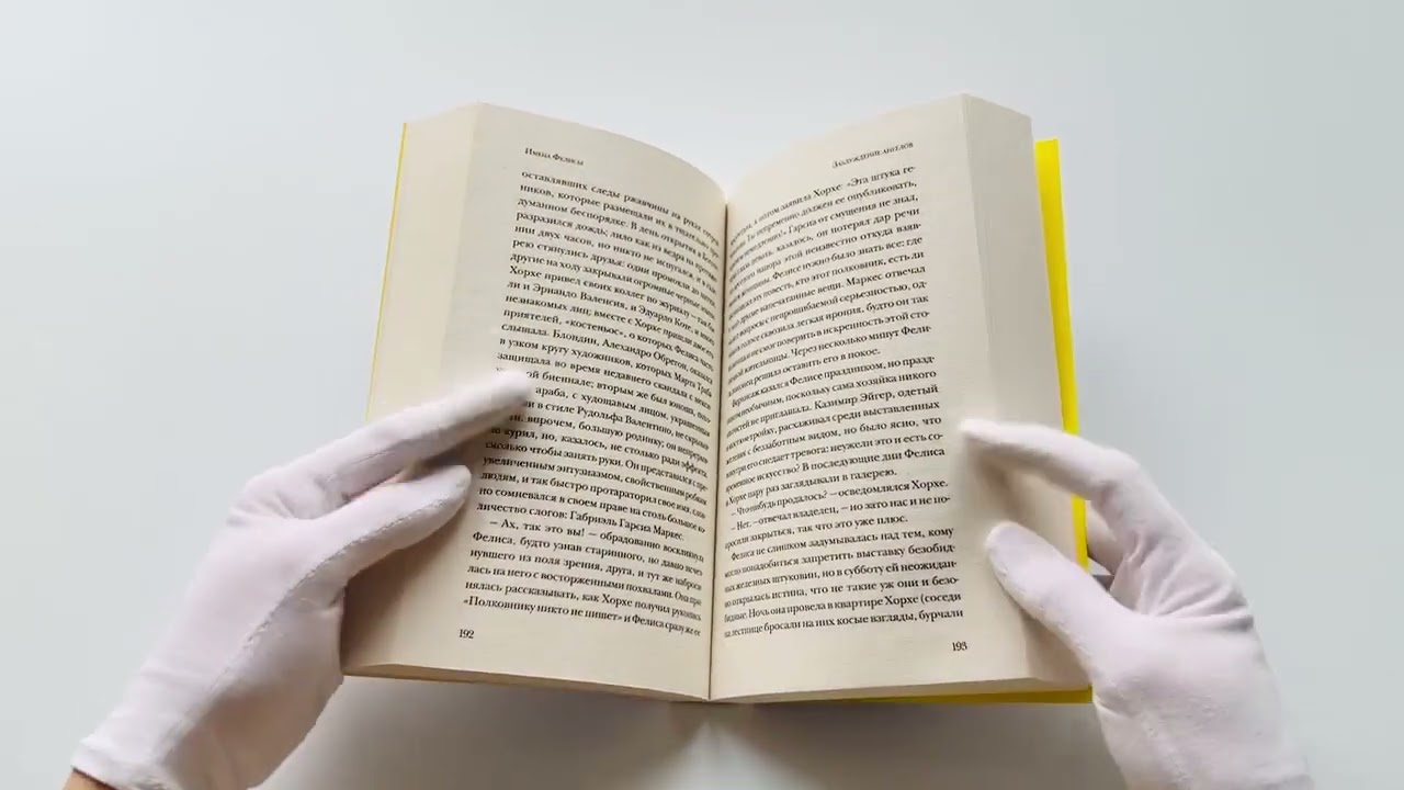 Книга Имена Фелисы (Хуан Габриэль Васкес) — 3