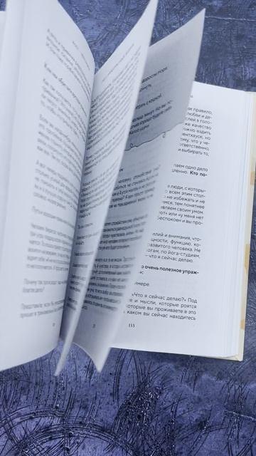 Книга Йога-менеджмент. Путеводитель по самореализации: от внутренней боли к управлению собой. Для предпринимателей, экспертов и духовных искателей (Анна Курманова) — 3