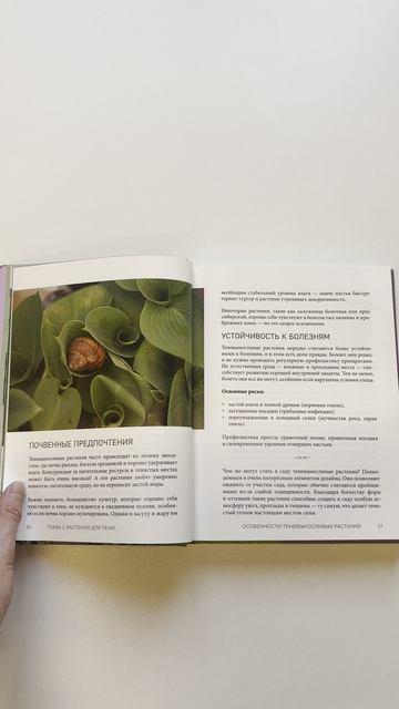 Книга Магия теневого сада. Как выбрать идеальные растения для потаенных уголков участка и создать красивые композиции (Катерина Резник) — 3