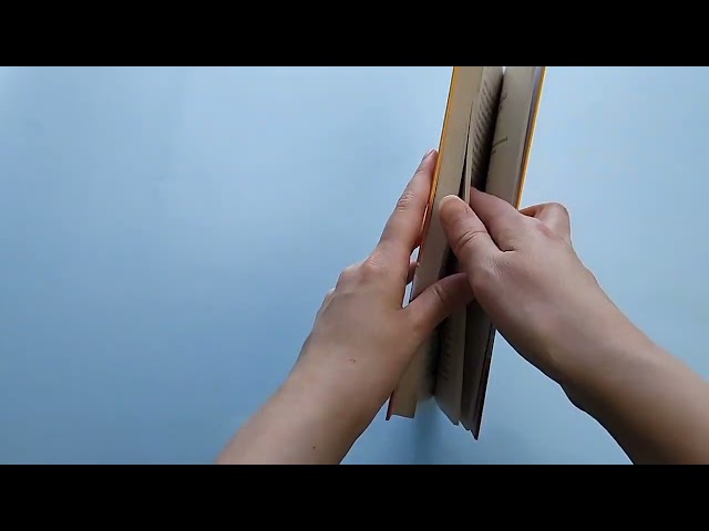 Книга Русский язык. Орфография и пунктуация (Дитмар Розенталь) — 3
