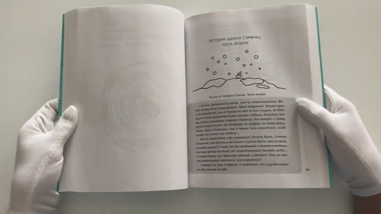 Книга У всего есть год спустя (Гоар Давтян) — 4