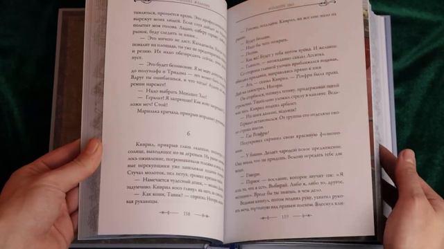 Книга Последнее желание (Анджей Сапковский) — 3
