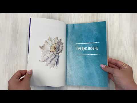 Книга Гомеопатия. Искусство бережного отношения к здоровью (Л.И. Ильенко) — 3