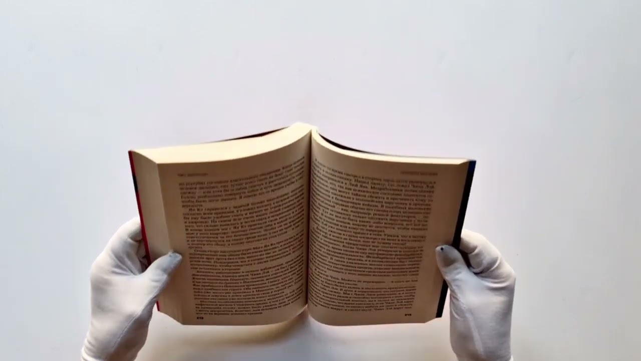 Книга Субъекты безумия (Чжу Минчуань) — 3