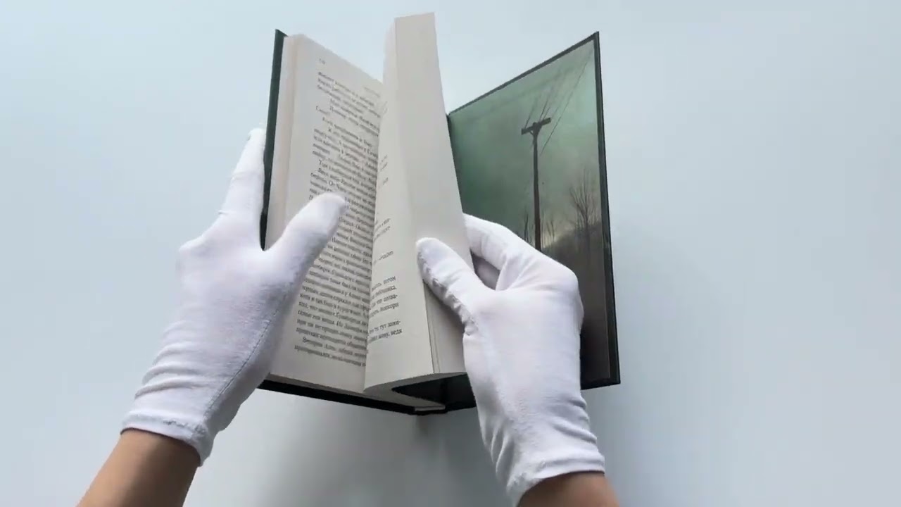 Книга На отшибе сгущается тьма (Амалия Лик) — 3