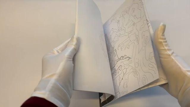 Книга По ту сторону тьмы. Красиво и опасно. Раскраска-фэнтези () — 3