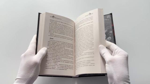 Книга Призрак (Виктория Блэк) — 3