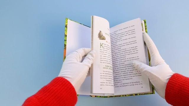 Книга Клара Катастрофея и лесное волшебство (#2) (Бритта Саббаг) — 3