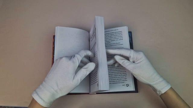 Книга Академия Чемпионов. Путь к мечте (Т. З. Лейтон) — 3